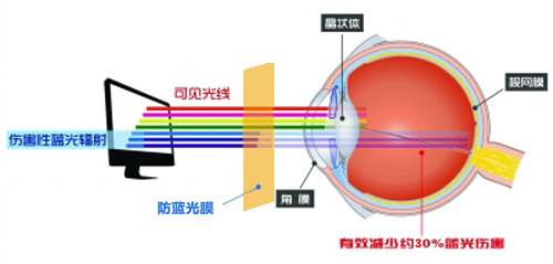 茄子视频在线免费最新科技成果 茄子视频APP在线无限免费观看网站成護眼利器