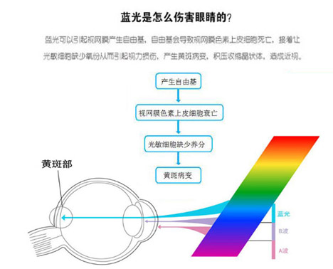 藍光的危害 藍光的危害
